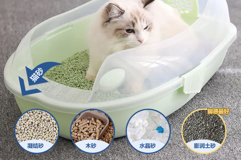 膨潤土貓砂受到貓咪喜愛